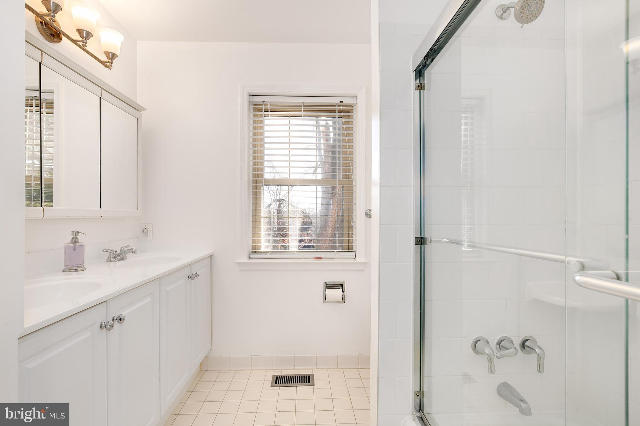 217 Farmgate Lane Silver Spring, MD 20905 - Photo 22 of 30 Bath (Master)