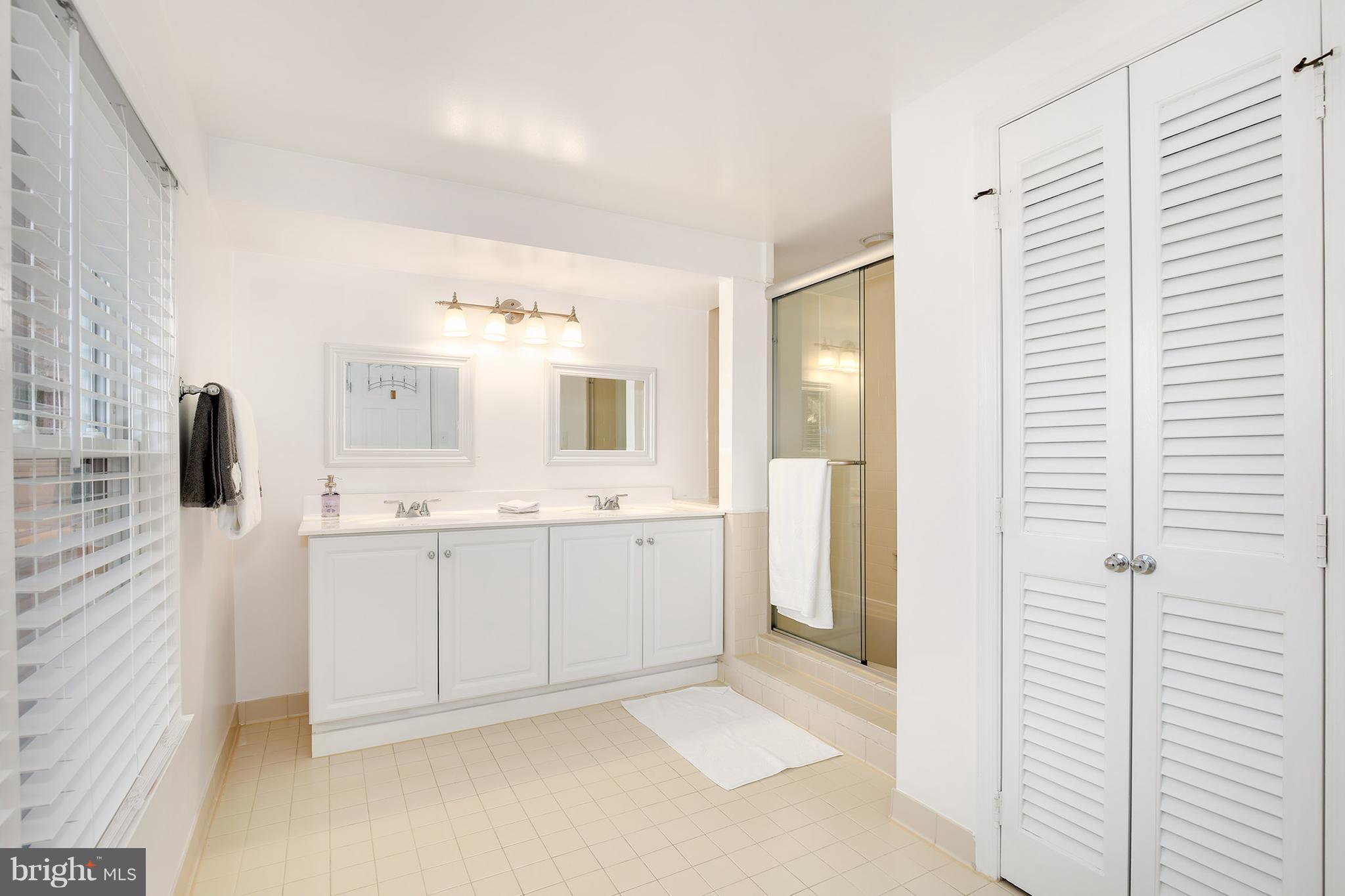 217 Farmgate Lane Silver Spring, MD 20905 - Photo 25 of 30 Bath (Master)