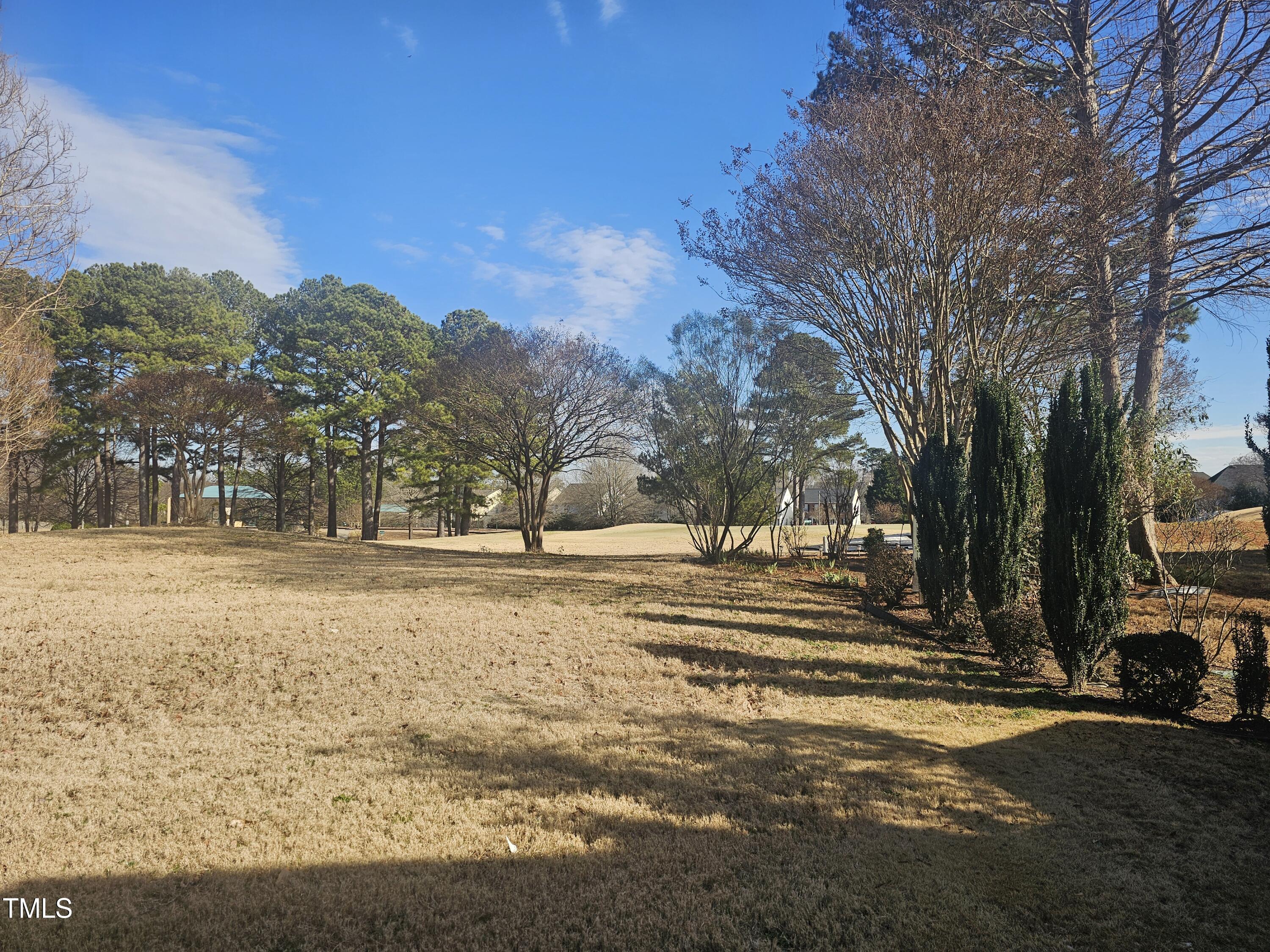 2040 Persimmon Ridge Drive Raleigh, NC 27604 - Photo 15 of 28 a view of a yard with a house
