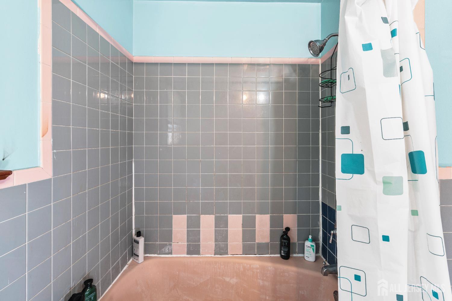 247 Adams Street Piscataway, NJ 08854 - Photo 22 of 49 a bathroom with a bathtub and shower