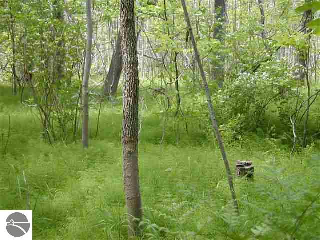 9962 West County Line Road Thompsonville, MI 49683 - Photo 5 of 5