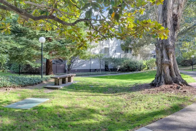 a view of a backyard with table and chairs and a large tree