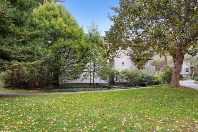 a view of a yard with a tree
