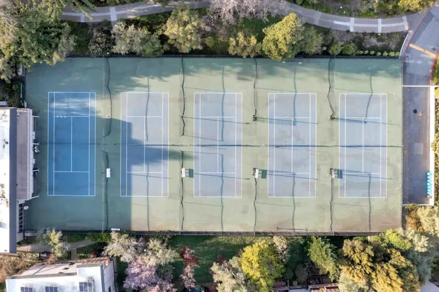 a view of a backyard