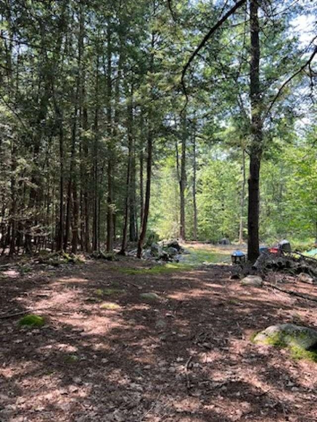 Lot 36-03 Howeville Road Fitzwilliam, NH 03447 - Photo 4 of 11