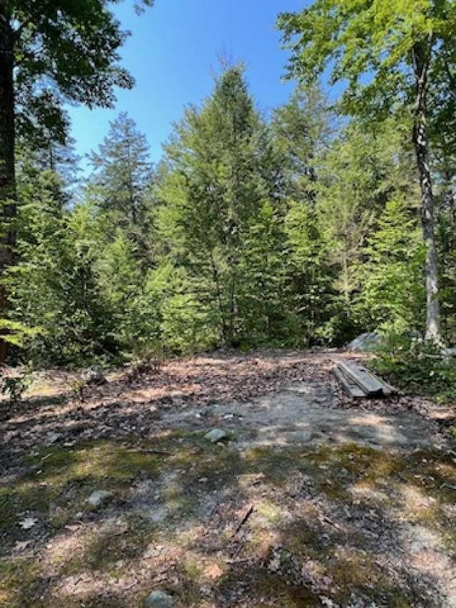 Lot 36-03 Howeville Road Fitzwilliam, NH 03447 - Photo 5 of 11