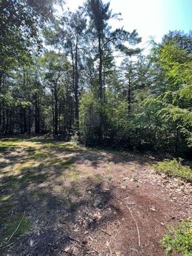 Lot 36-03 Howeville Road Fitzwilliam, NH 03447 - Photo 6 of 11