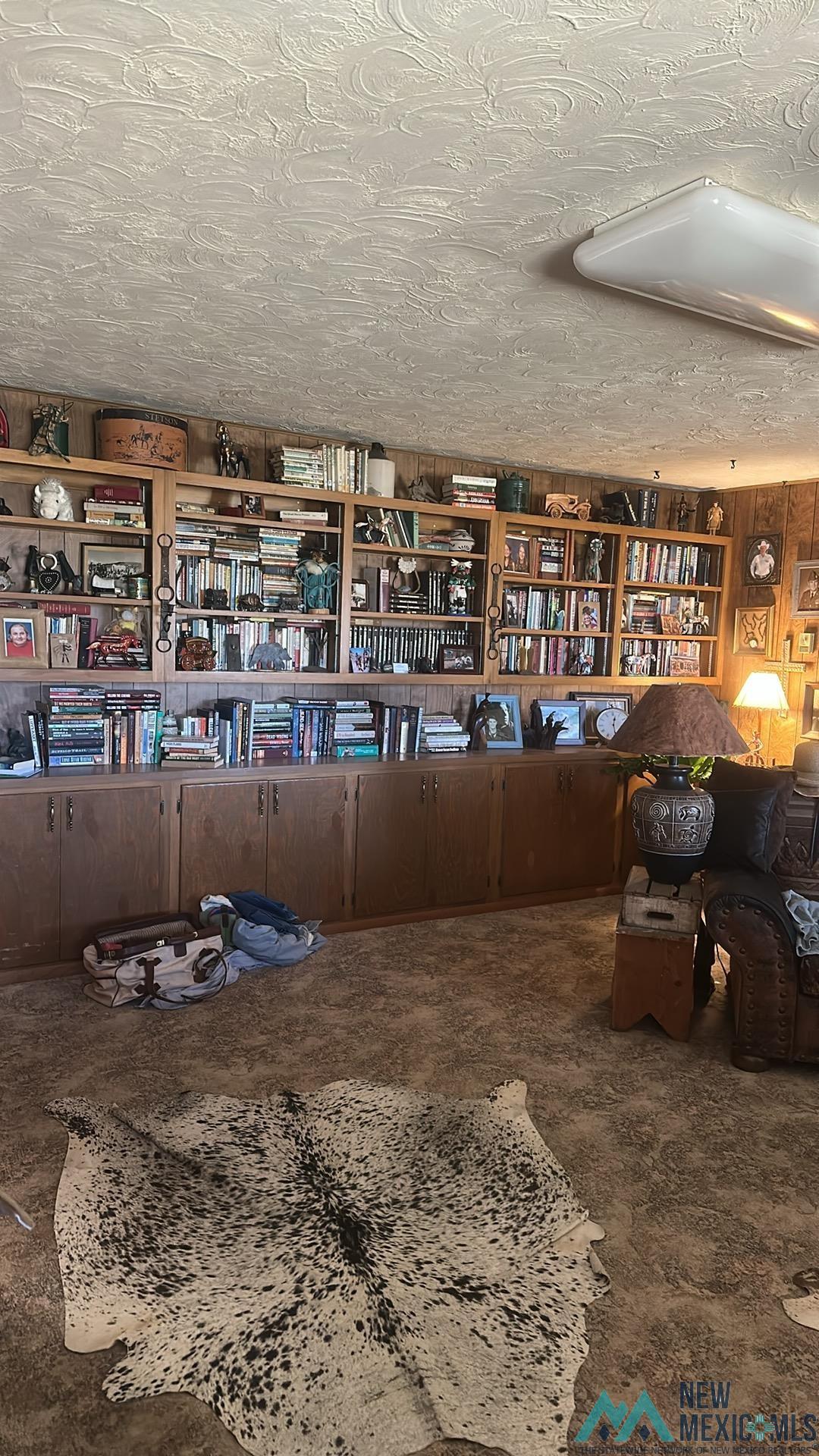 700 Vandiver Road Sedan, NM 88436 - Photo 11 of 32 Living room featuring a textured ceiling and bookshelves