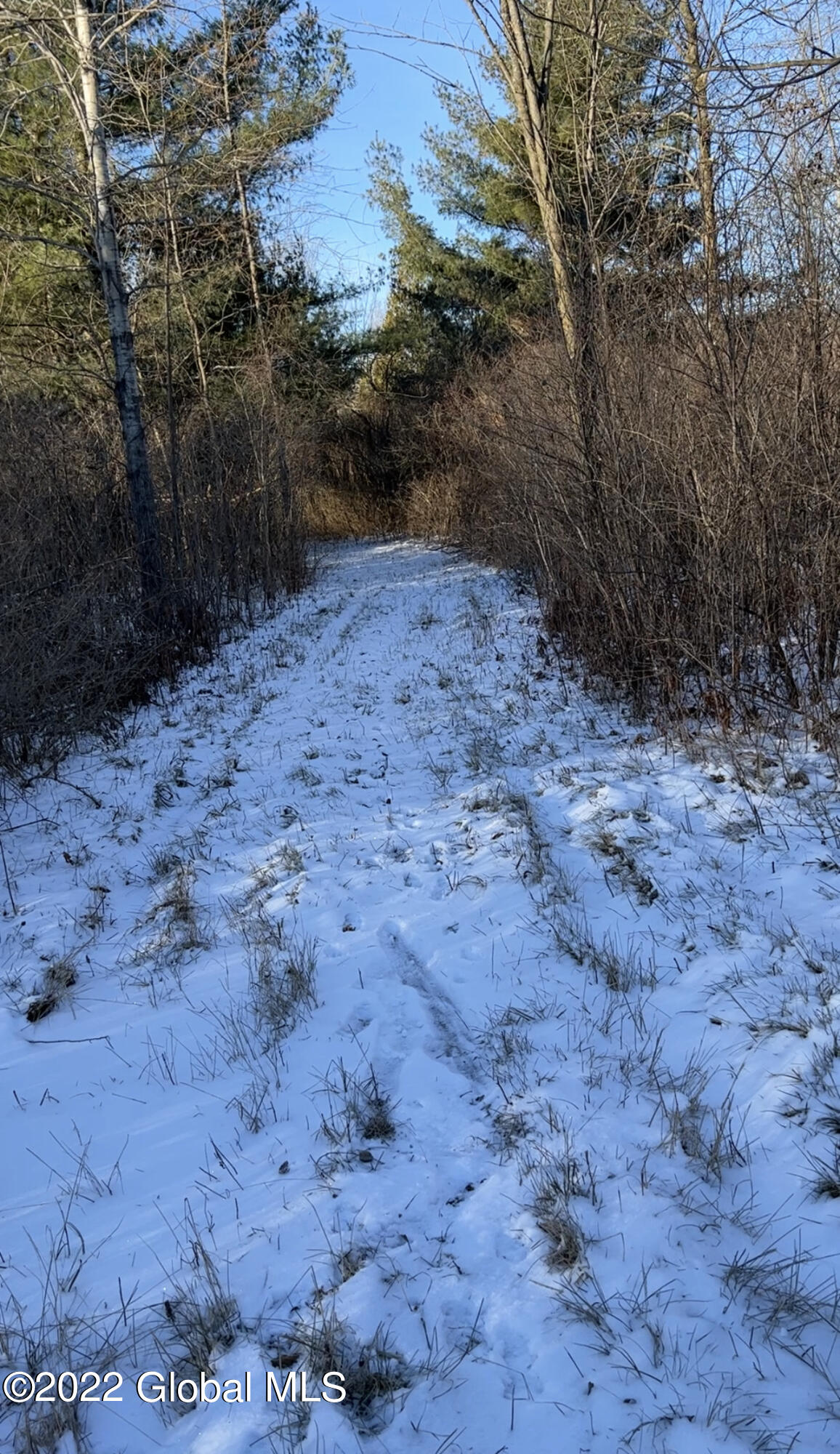 L3 Marshall Road Ogdensburg, NY 13669 - Photo 6 of 21 IMG_3690