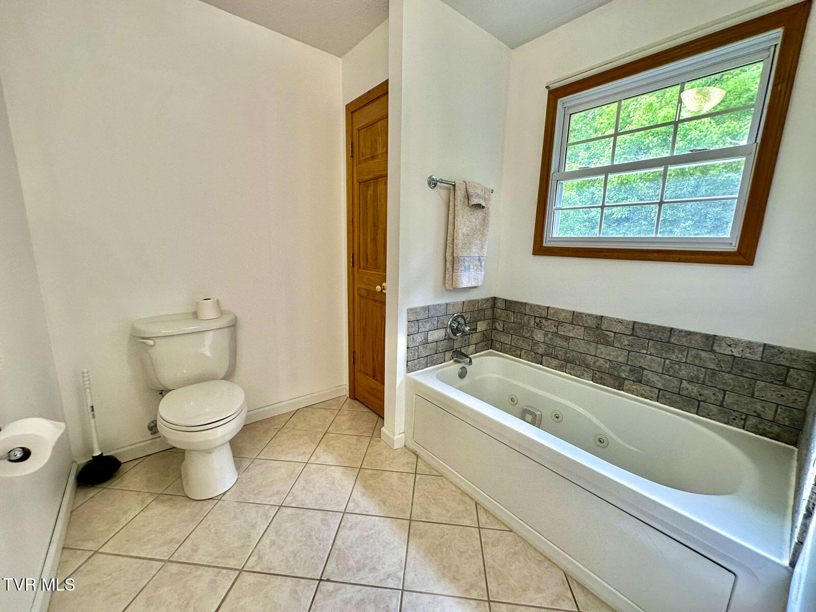 2397 Lower Rinehart Road Dandridge, TN 37725 - Photo 22 of 69 f (4)