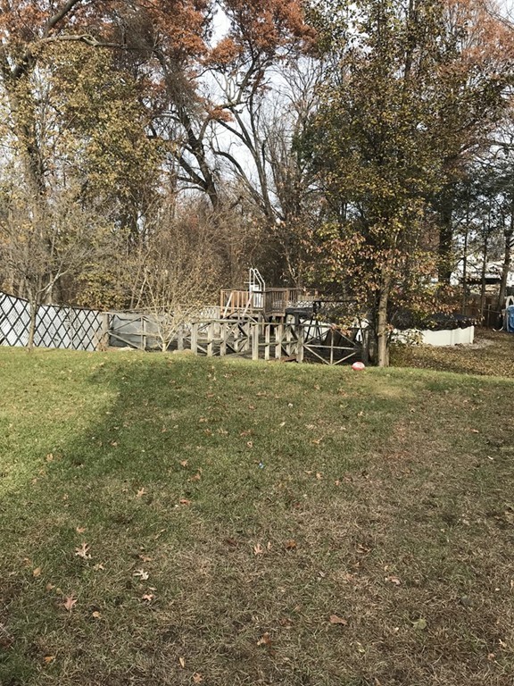 15 Strong Street Springfield, MA 01104 - Photo 24 of 28 a view of a yard with large trees