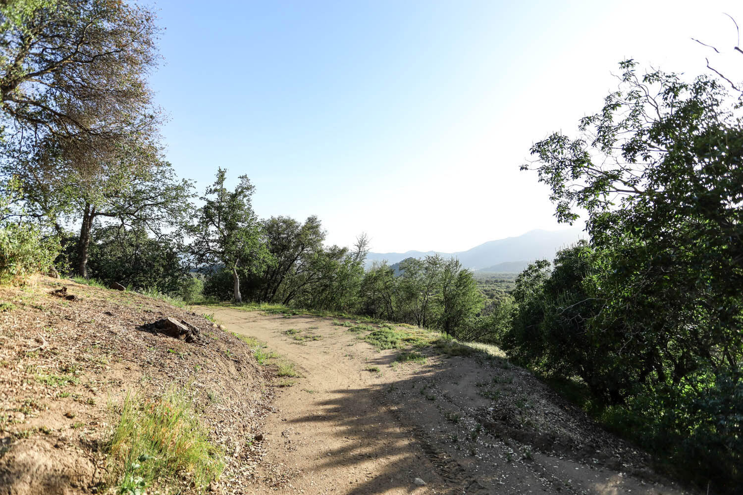 45076 Balch Park Road Springville, CA 93265 - Photo 24 of 46 IMG_4456