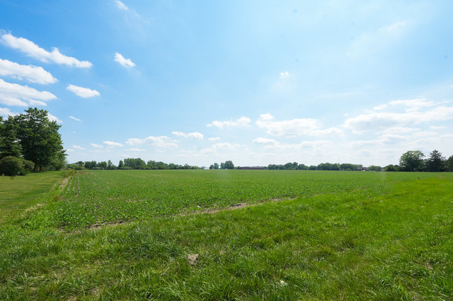 Lot 01 Mills Road Joliet, IL 60433 - Photo 7 of 9 Gallery Image 7