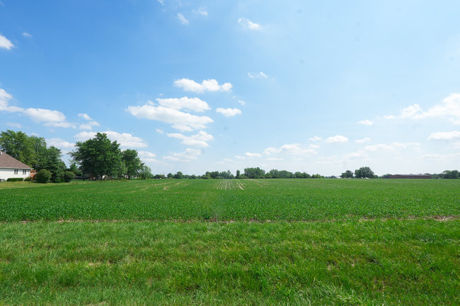 Lot 01 Mills Road Joliet, IL 60433 - Photo 9 of 9 Gallery Image 9
