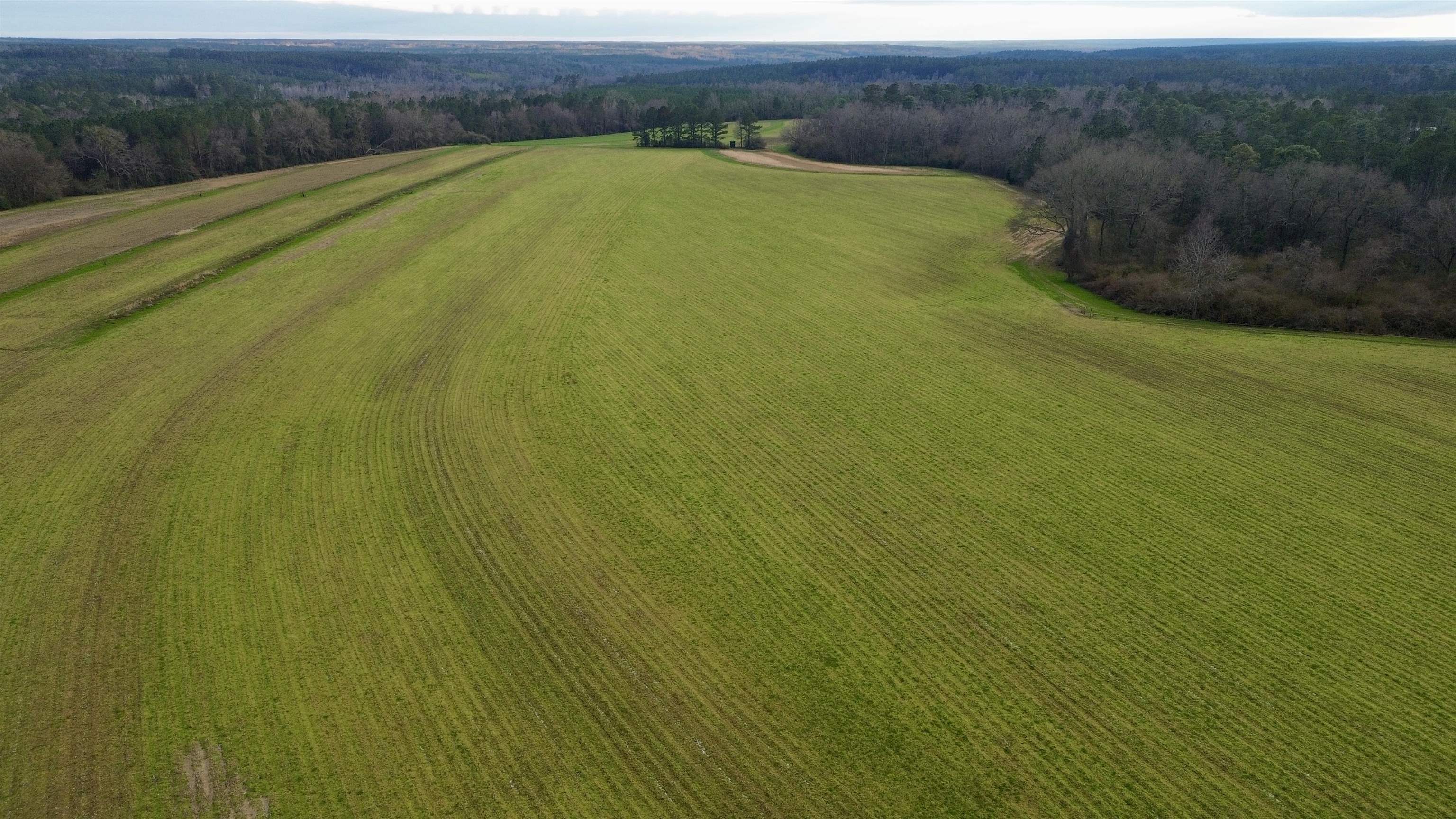 0 James Brooks Road Atmore, AL 36502 - Photo 16 of 16 Aerial View