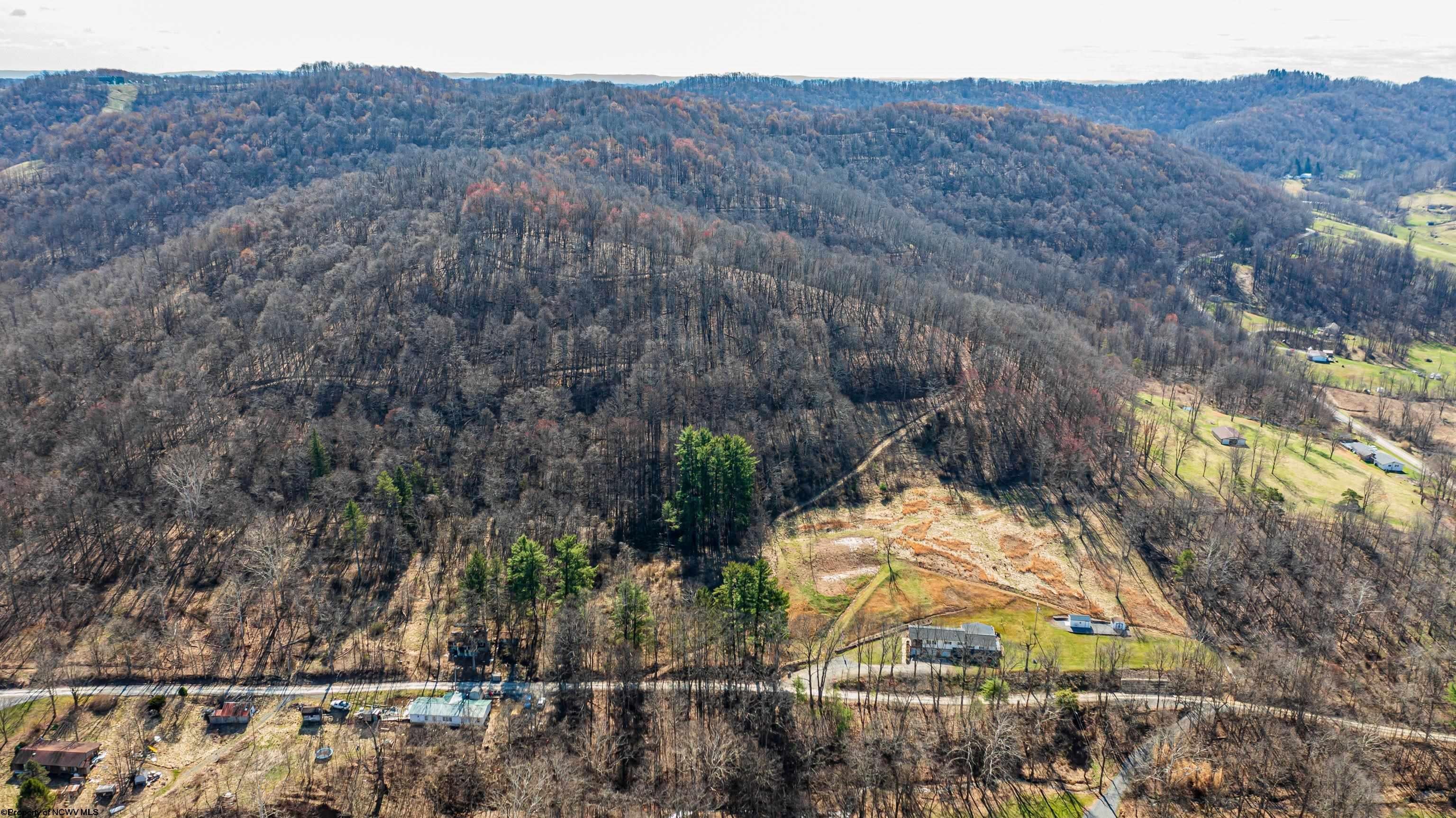 Tbd Mount Harmon Road Fairview, WV 26570 - Photo 3 of 11 Gallery Image 3