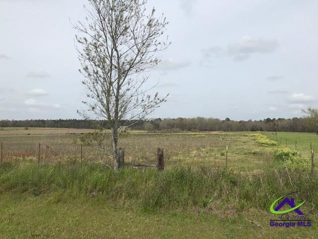 0 Reaby Road Chester, GA 31012 - Photo 1 of 1