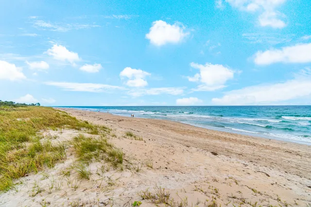a view of beach and ocean