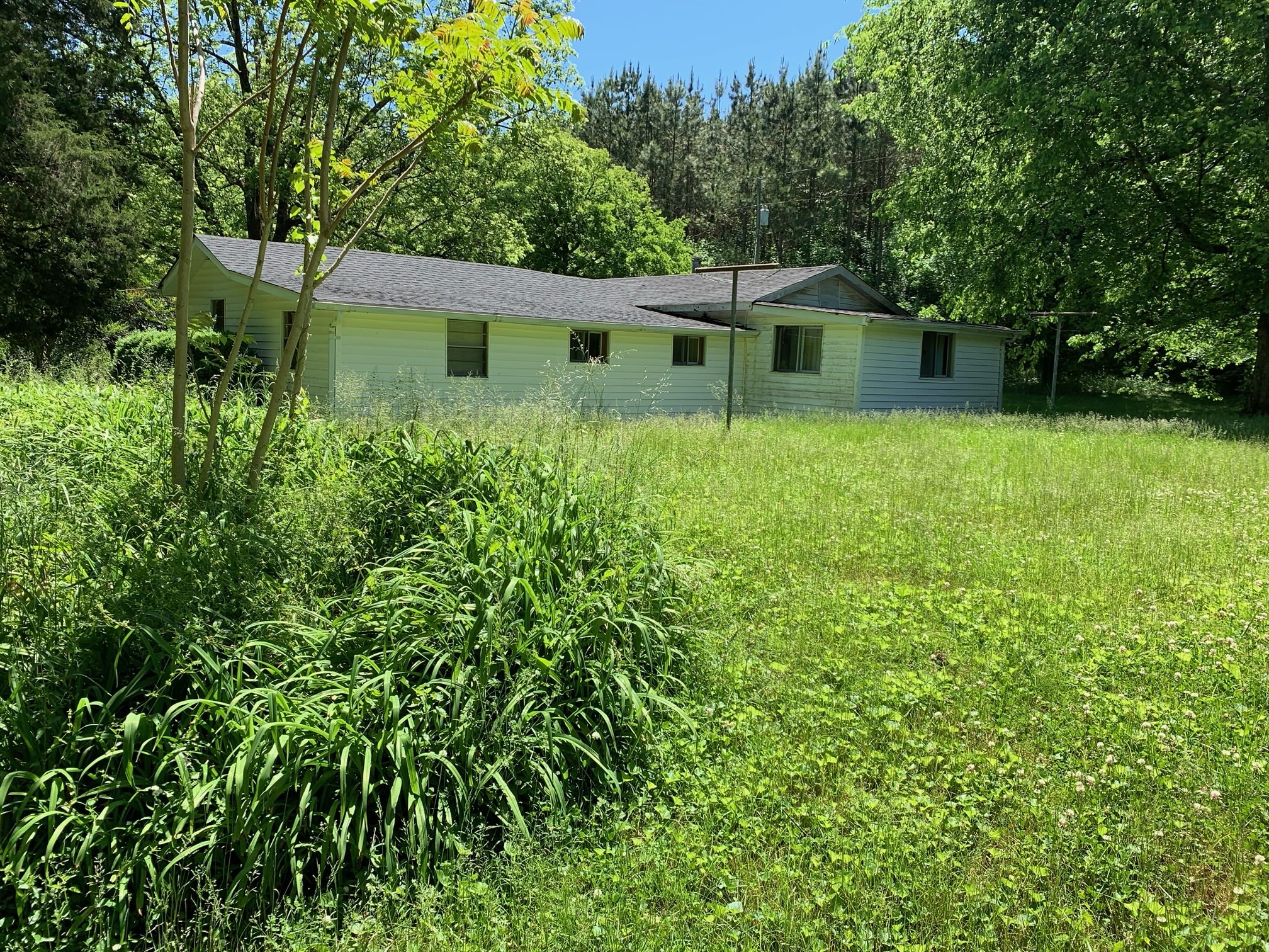 185 Ben Johnson Road Pulaski, TN 38478 - Photo 3 of 23 a front view of a house with garden