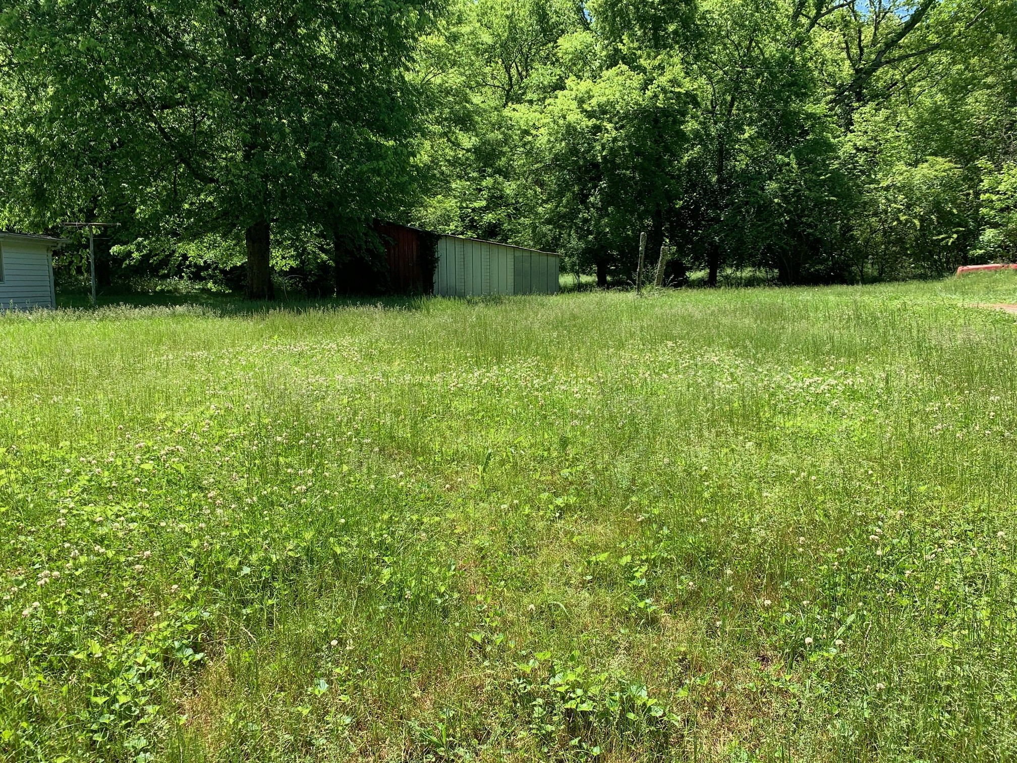 185 Ben Johnson Road Pulaski, TN 38478 - Photo 6 of 23 a view of an outdoor space and a yard