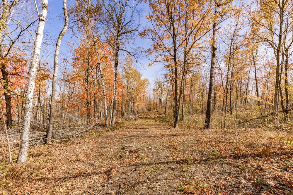 Xxx Catherine Street Duluth, MN 55803 - Photo 29 of 36