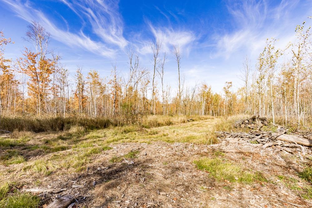 Xxx Catherine Street Duluth, MN 55803 - Photo 34 of 36