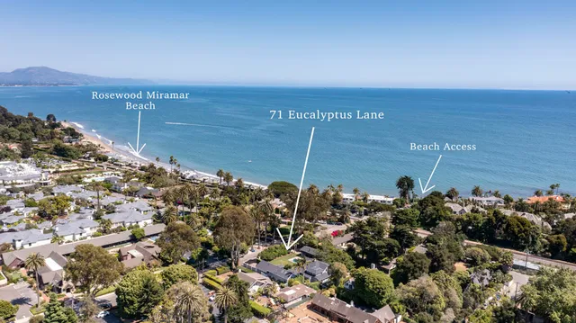 a view of backyard with plants and garden