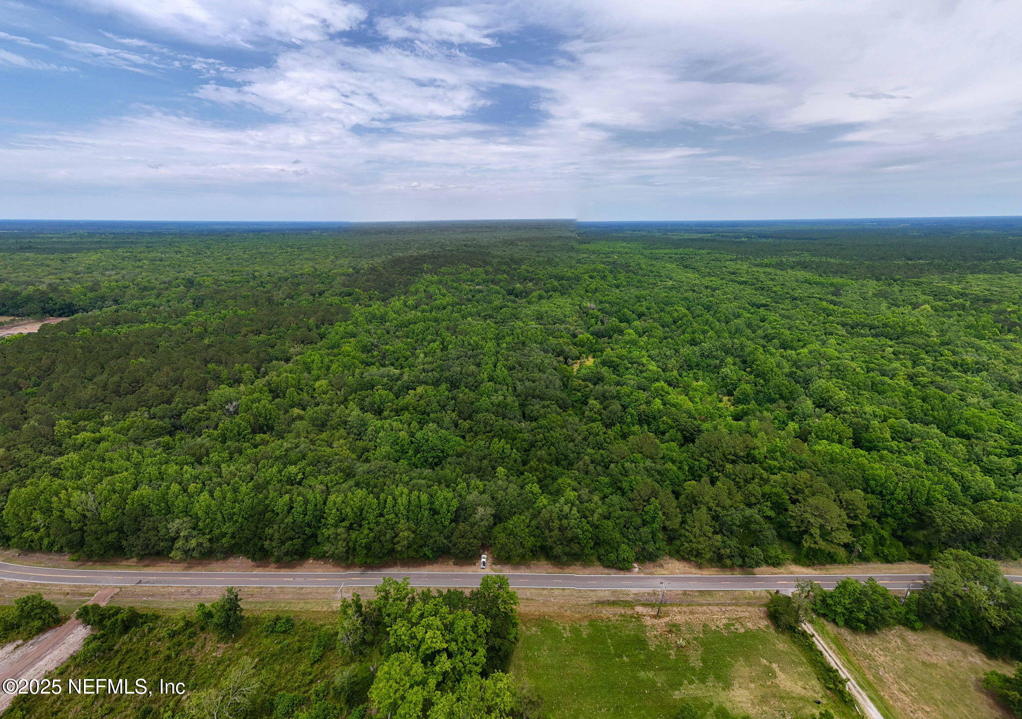 8549 Thomas Road Jacksonville, FL 32219 - Photo 1 of 30 a view of a field with plants and trees