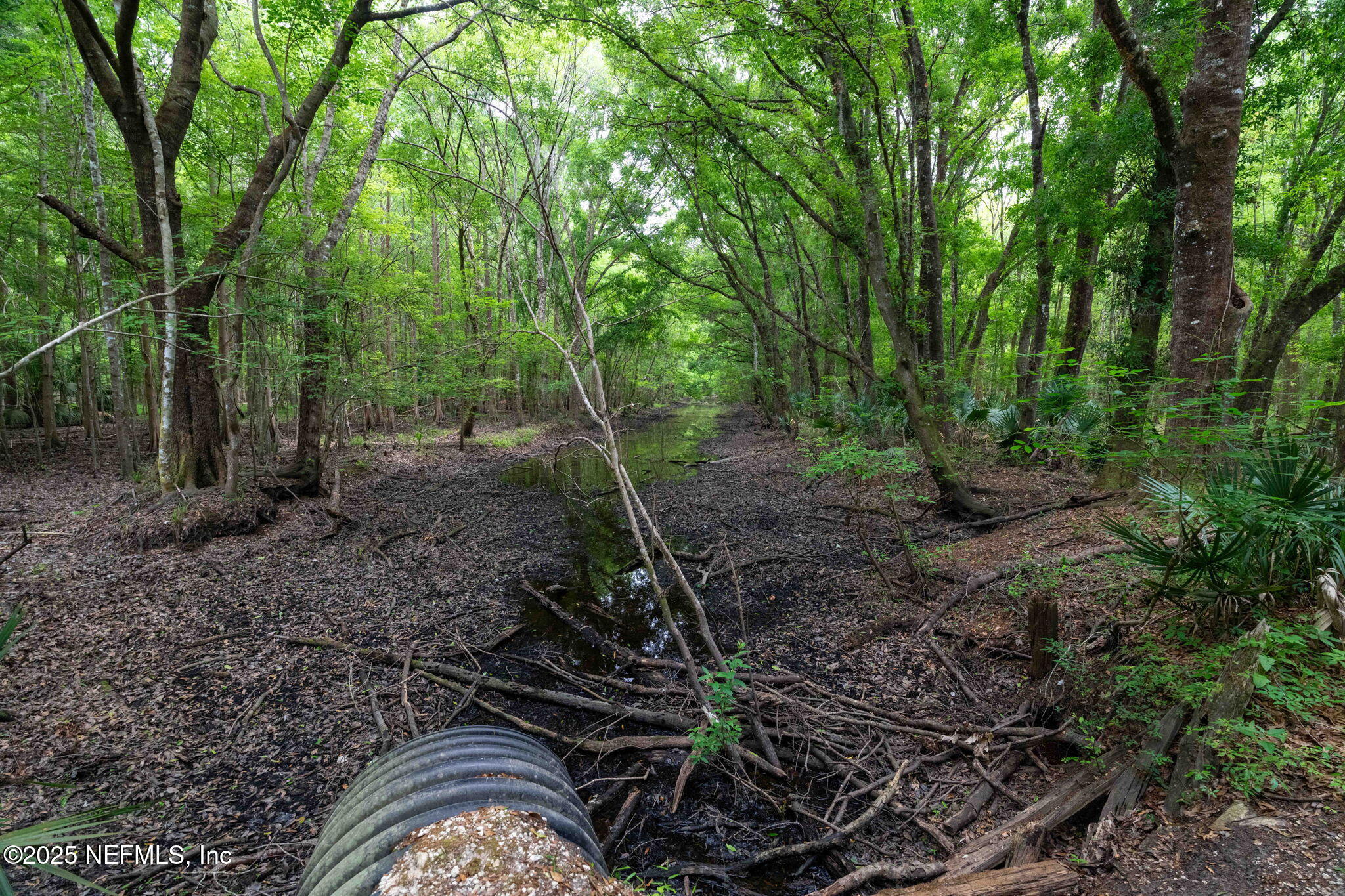 8549 Thomas Road Jacksonville, FL 32219 - Photo 11 of 30 a backyard of a house with lots of green space