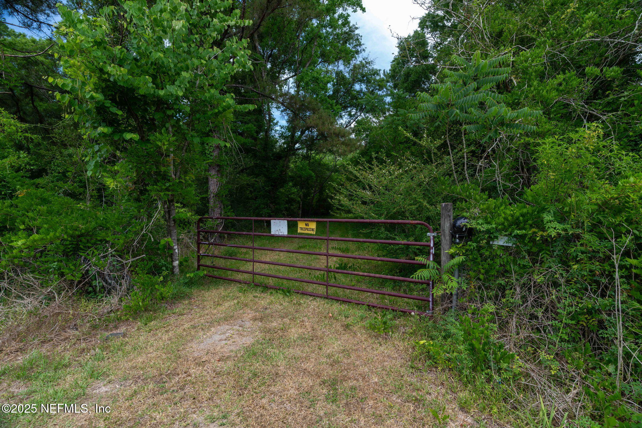 8549 Thomas Road Jacksonville, FL 32219 - Photo 12 of 30 a view of outdoor space and yard