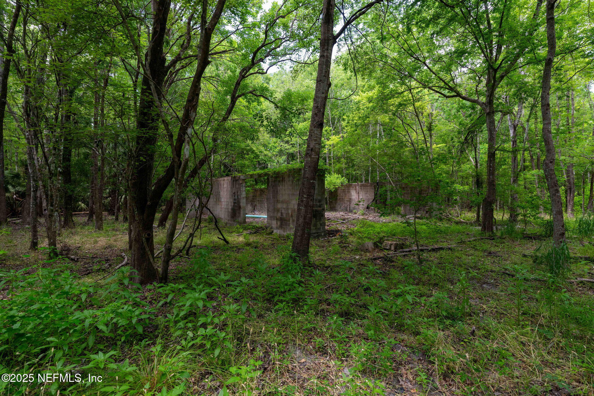 8549 Thomas Road Jacksonville, FL 32219 - Photo 17 of 30 a view of a yard with large trees