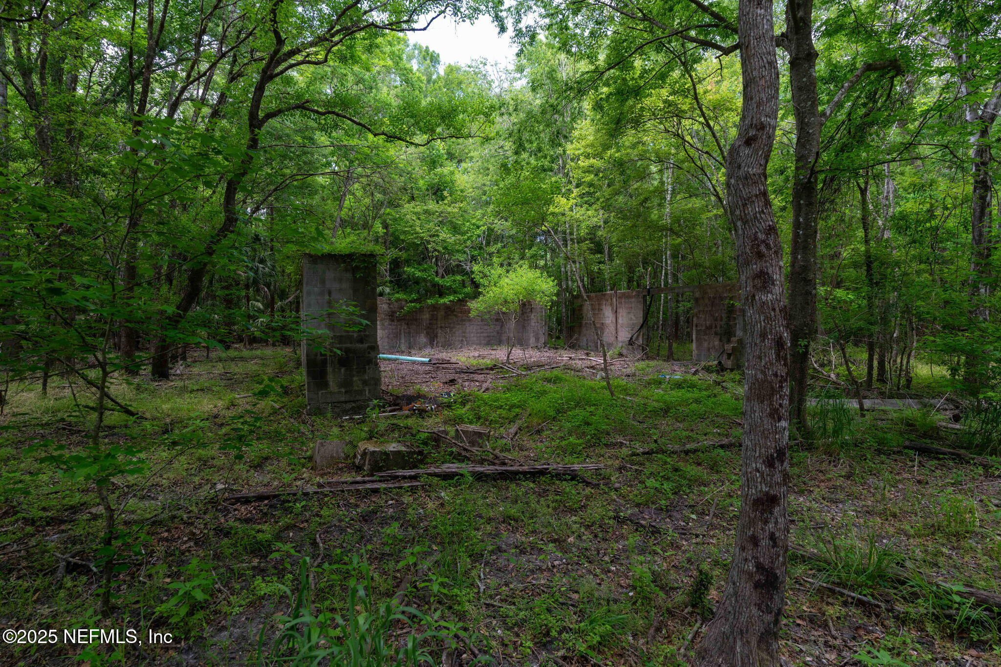 8549 Thomas Road Jacksonville, FL 32219 - Photo 18 of 30 a view of a back yard