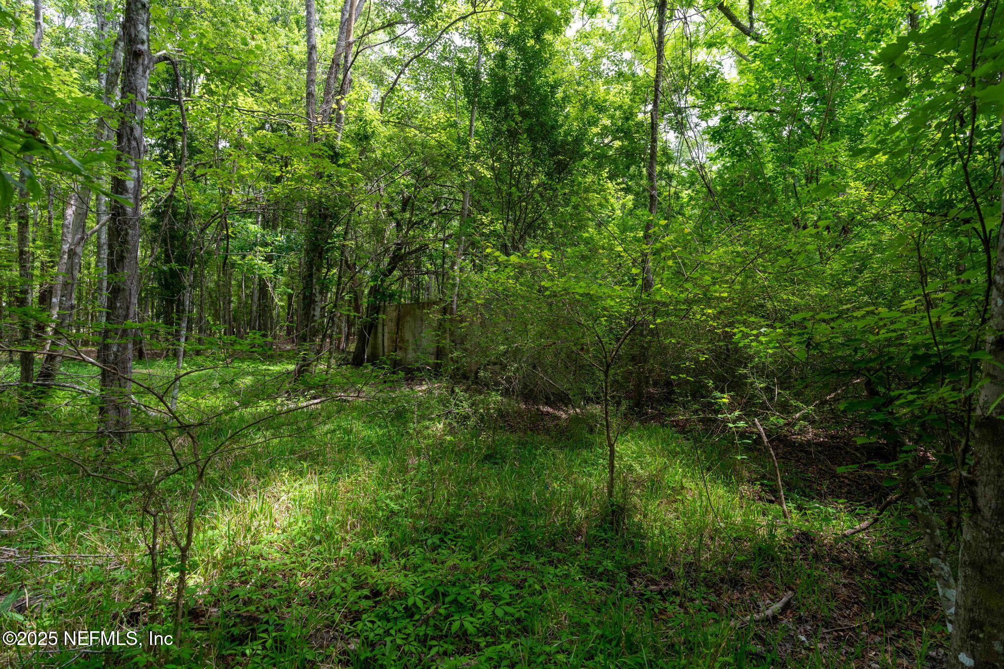 8549 Thomas Road Jacksonville, FL 32219 - Photo 19 of 30 a view of outdoor space and yard