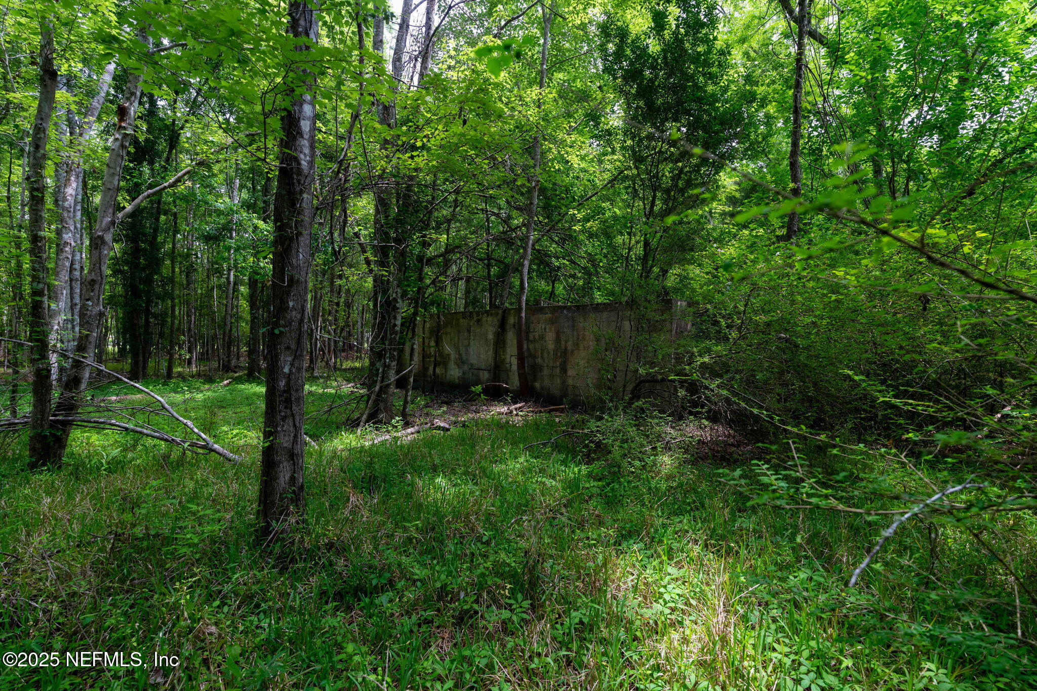 8549 Thomas Road Jacksonville, FL 32219 - Photo 20 of 30 a view of backyard with green space