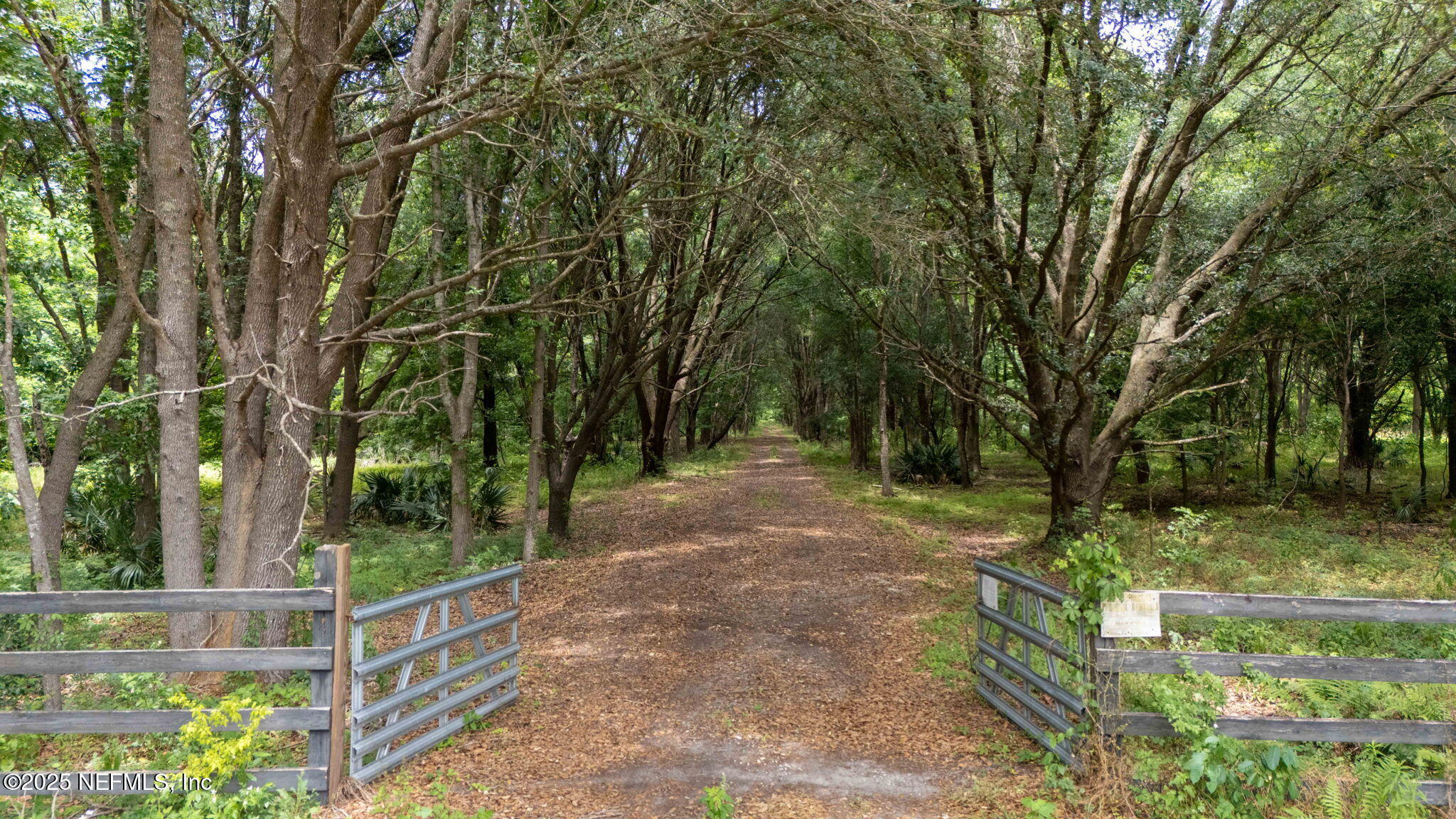 8549 Thomas Road Jacksonville, FL 32219 - Photo 22 of 30 a view of backyard with tree