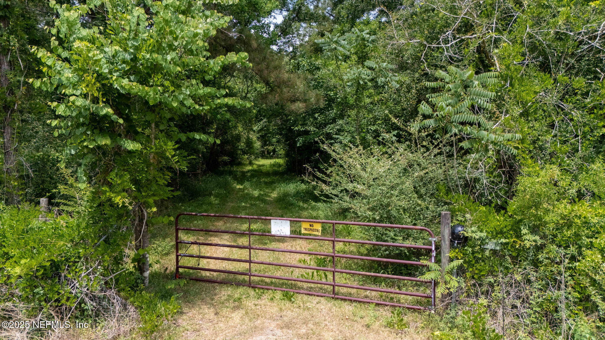 8549 Thomas Road Jacksonville, FL 32219 - Photo 24 of 30 a view of outdoor space with deck and trees