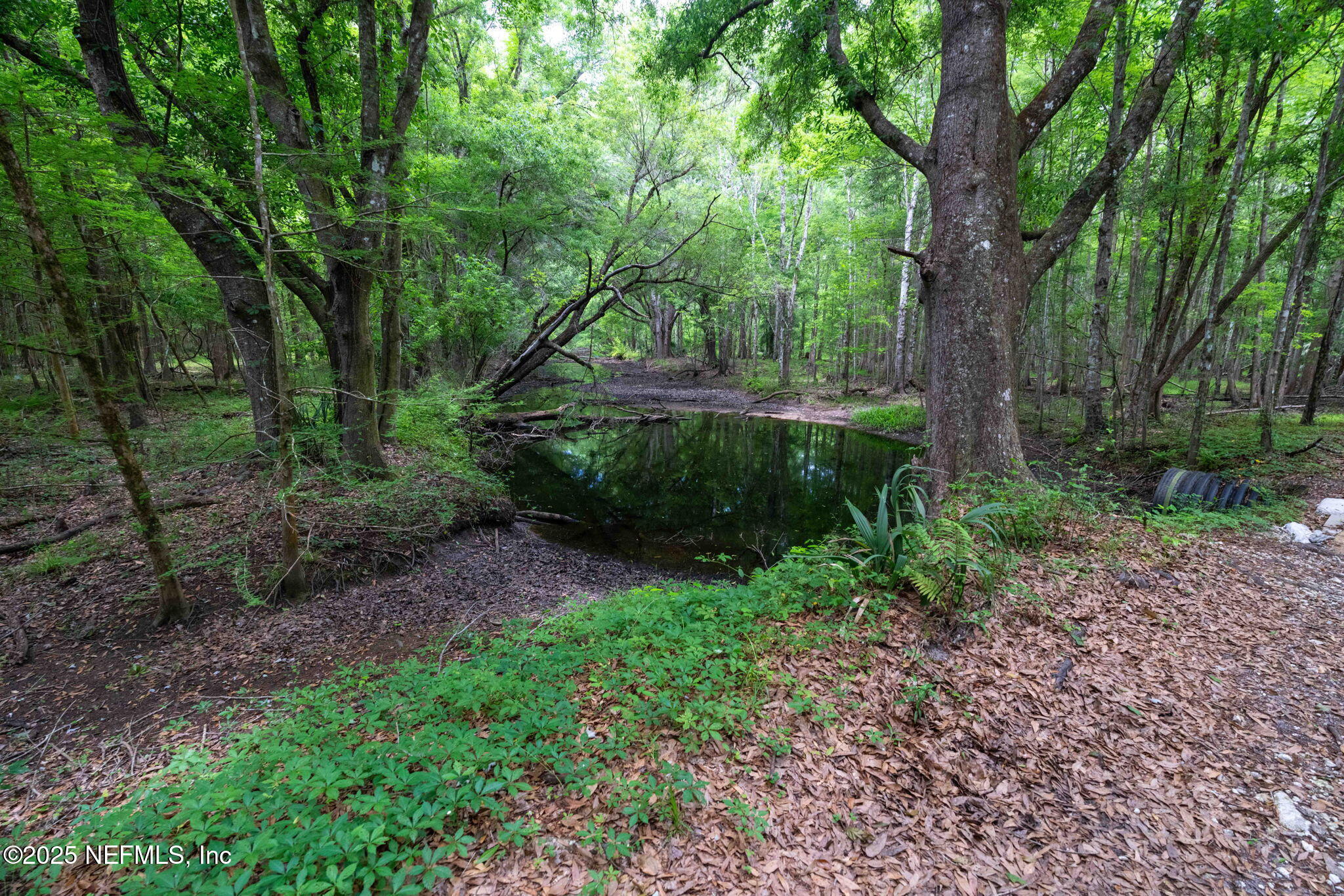 8549 Thomas Road Jacksonville, FL 32219 - Photo 8 of 30 a view of a garden with trees