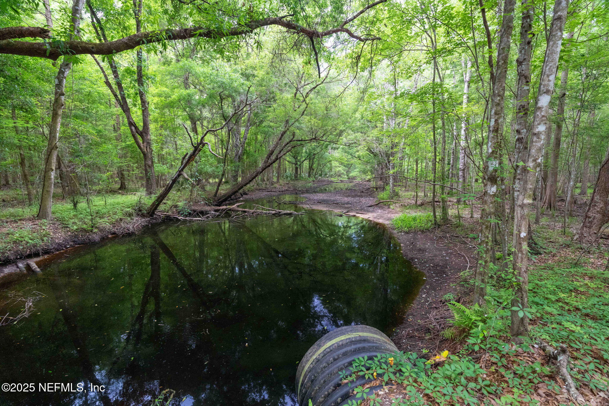 8549 Thomas Road Jacksonville, FL 32219 - Photo 10 of 30 a backyard of a house with lots of green space