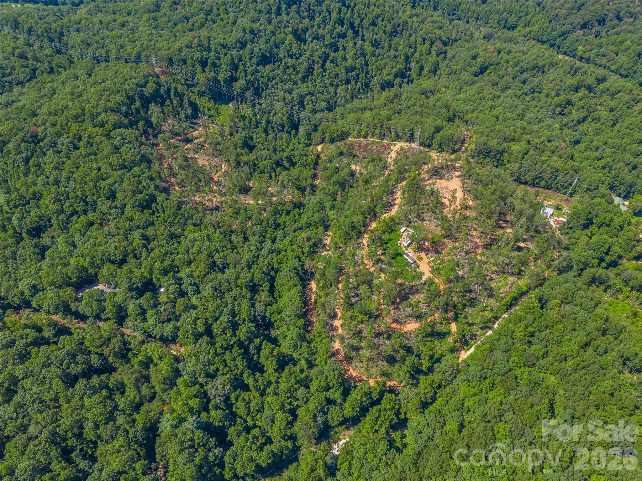 Tbd Early Road Saluda, NC 28773 - Photo 21 of 35 Gallery Image 21