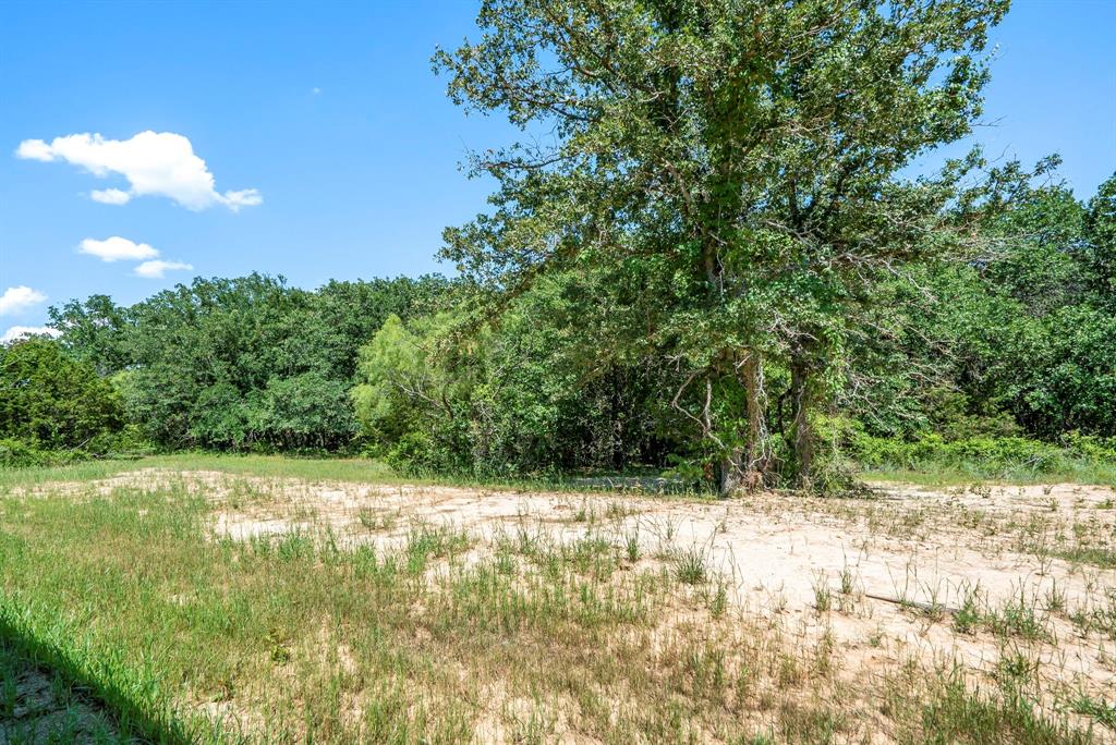484 Clark Lake Road Weatherford, TX 76088 - Photo 4 of 21 a view of a yard with large trees