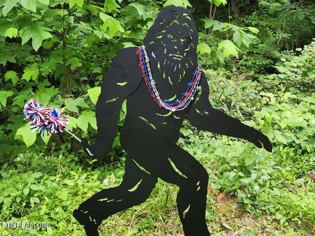 $507,900 | 1196 Iris Way, Cosby, TN 37722