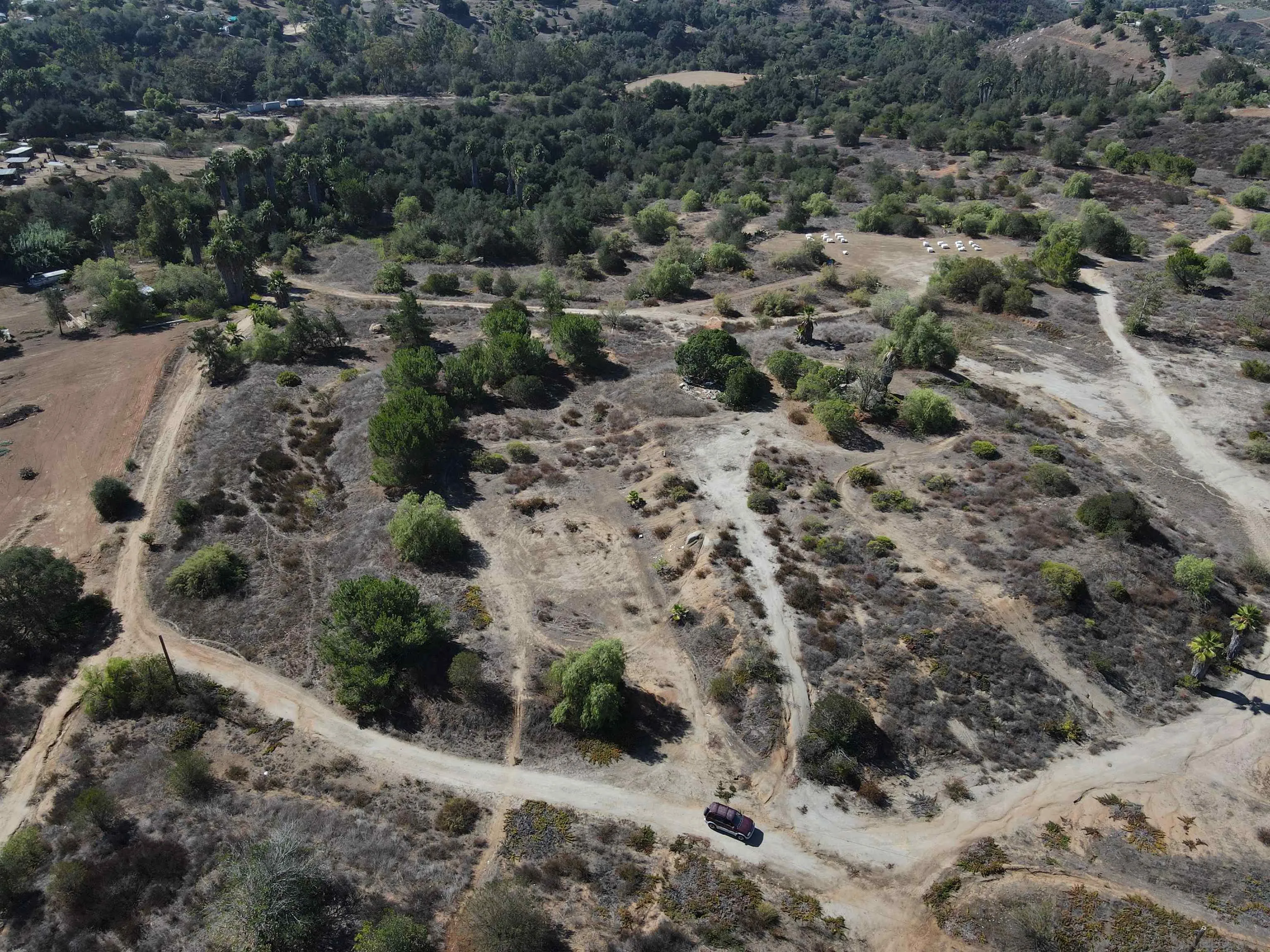 77.78-ac Jeffrey Heights Road Valley Center, CA 92082 - Photo 4 of 14 a view of a forest with lots of trees