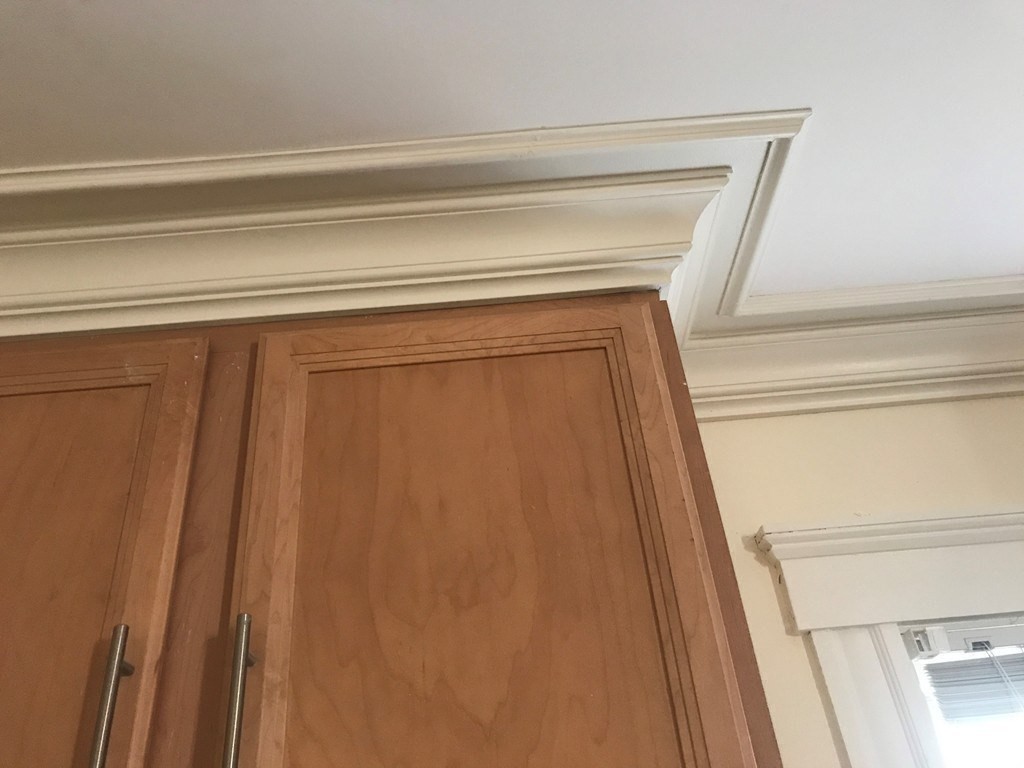 65 Conwell Avenue, Unit 1 Somerville, MA 02144 - Photo 5 of 16 a close up of a curtain