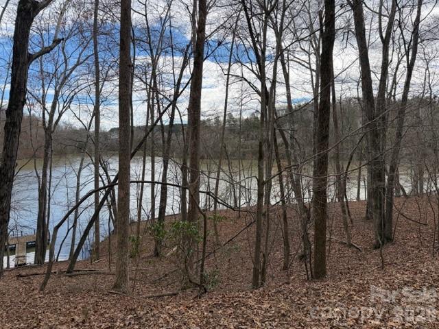 35 Mountain Parkway Mill Spring, NC 28756 - Photo 2 of 9
