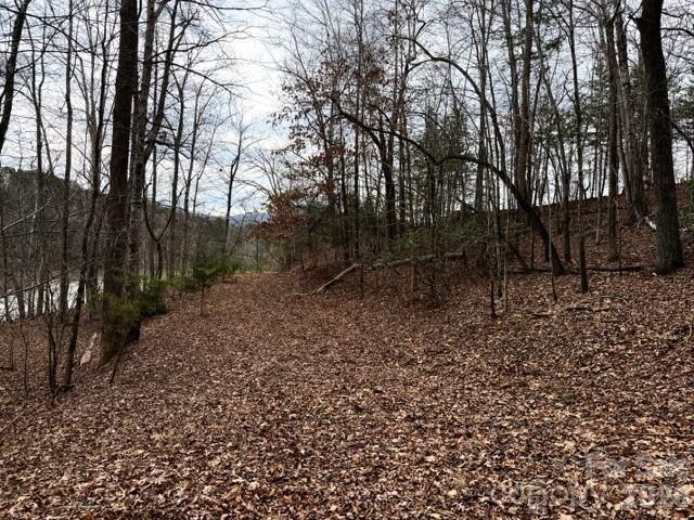 35 Mountain Parkway Mill Spring, NC 28756 - Photo 4 of 9