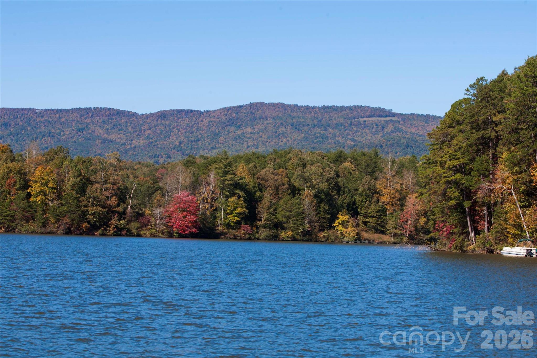 35 Mountain Parkway Mill Spring, NC 28756 - Photo 6 of 9