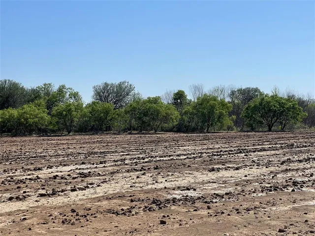 a view of a yard with plants and trees