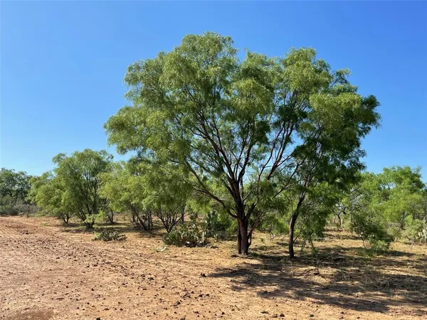 a view of dirt yard with a tree