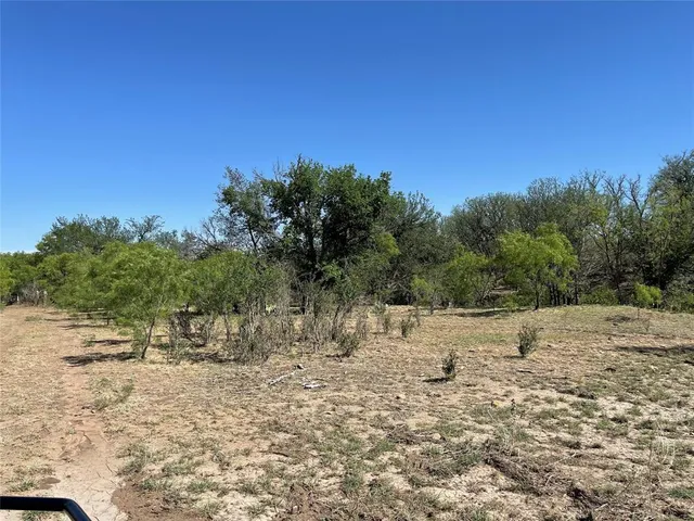 a view of a forest with a street