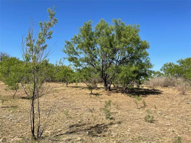 a view of a field with an ocean